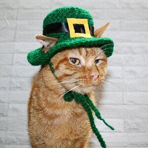 HAND CRAFTED Crochet Hat St. Patrick's Day Derby Cat Irish Costume Photo Prop